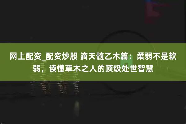 网上配资_配资炒股 滴天髓乙木篇：柔弱不是软弱，读懂草木之人的顶级处世智慧